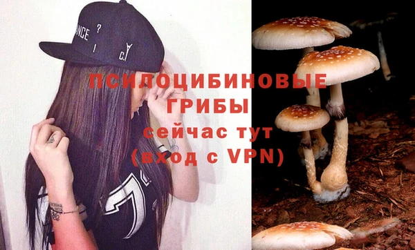 jwh Абаза