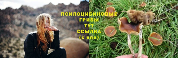 бутират Майский